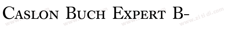 Caslon Buch Expert B字体转换